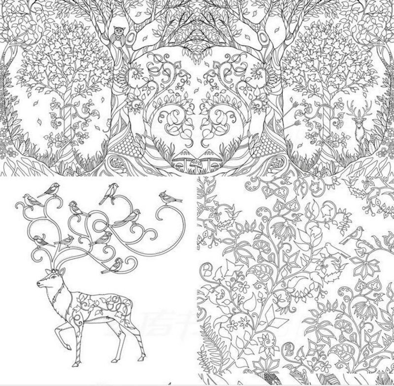 Kolorowanki Tajemniczy ogród dla dorosłych: do druku 9