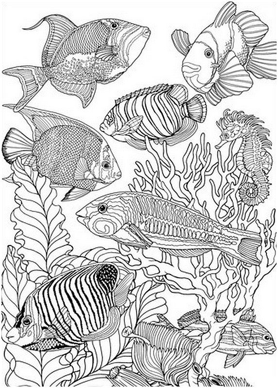 Kolorowanki Ryby dla dorosłych: do druku 13