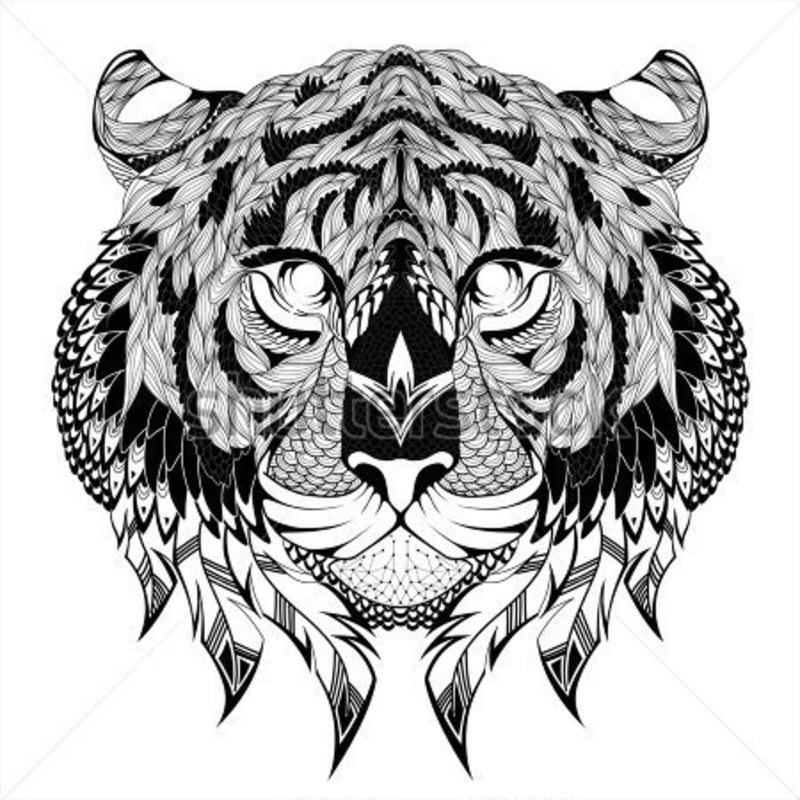 Kolorowanki Tygrysy dla dorosłych: do druku 1